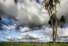 世界杯竞猜-票价太高！英格(gé)兰球迷：买世界杯门票得(dé)貸(dài)款