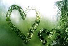 2026世界杯-NBA效率值榜单揭晓：詹姆斯位列历史第四，库里意外落榜！