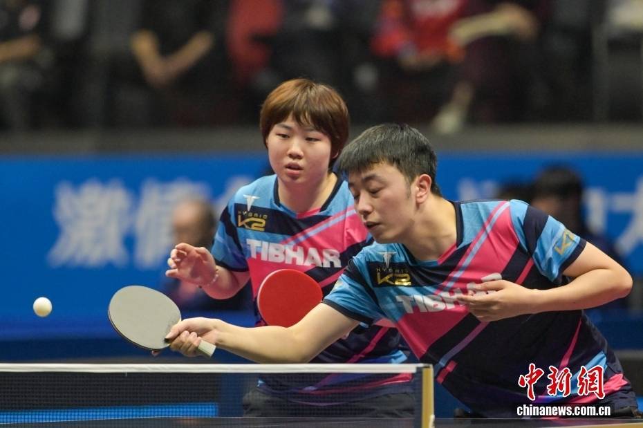 （粤港澳全运会）乒乓球女子单打1/4决赛